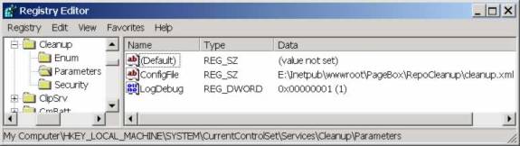 Regedit displays the RepoCleanup parameters